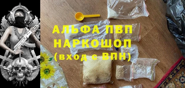 гашик Алексеевка