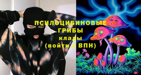 гашик Алексеевка