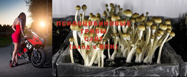 хмурый Нязепетровск